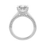 LADIES RING 4 5/8CT ROUND/PRINCESS/EMERALD DIAMOND 14K WHITE GOLD (CENTER STONE EMERALD DIAMOND 3CT ) - Image 2